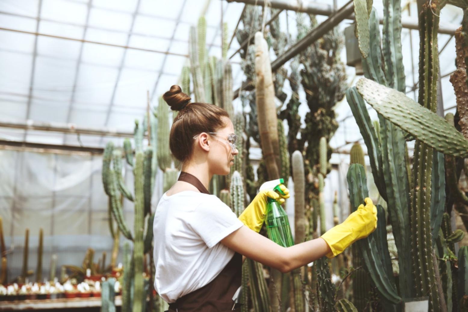 Detail karya floral Mrotonex